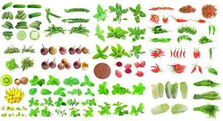 collection of fruit and Vegetables