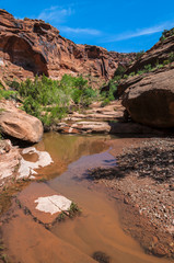 Pool of water - Hunter Canyon Hiking Trail Moab Utah