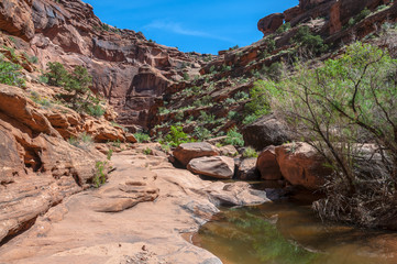 Pool of water - Hunter Canyon Hiking Trail Moab Utah