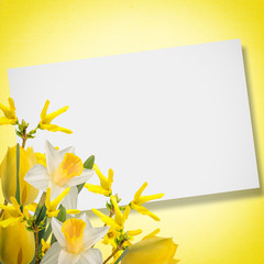 Abstract background for design