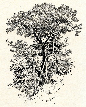 Fototapeta Hunting pulpit