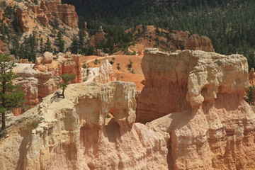 queen's garden, Bryce canyon