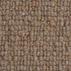 Brown carpet