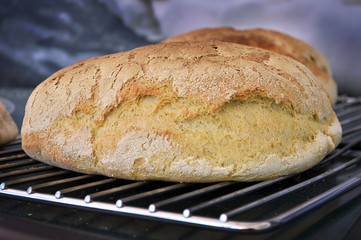 pane appena sfornato
