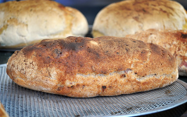 pane appena sfornato