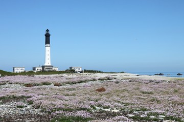 Obraz premium l'île de sein,bretagne,phare de goulenez