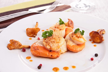 scallop