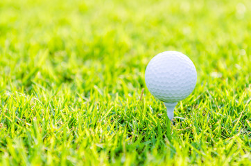 Golf ball on green grass
