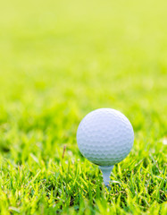 Golf ball on green grass