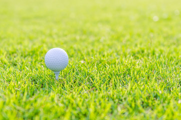 Golf ball on green grass