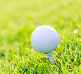 Golf ball on green grass