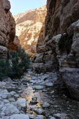 Fototapeta na wymiar Mountains and water in the Ein Gedi nature reserve