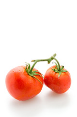 Tomato isolated on white