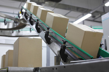 Cardboard boxes on conveyor belt in factory - obrazy, fototapety, plakaty
