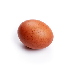 Egg