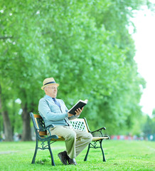 Fototapeta premium Senior gentleman reading a book in park
