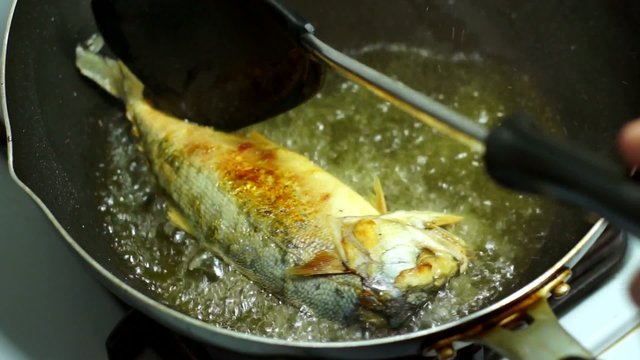 fried Indian mackerel
