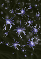 nerve cells in the body
