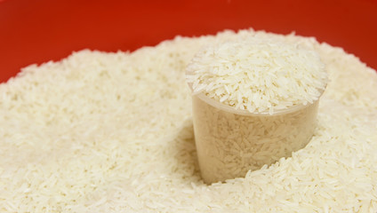 Cup of rice grain