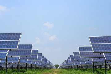 solar panel ecological  power for alternative  energy