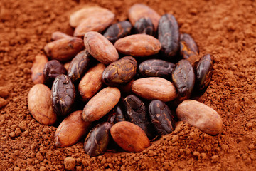 cocoa beans