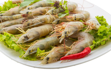 Raw tiger shrimps