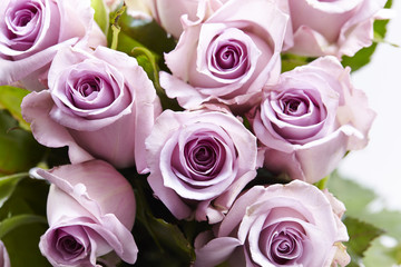 roses