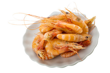 Big tiger shrimps