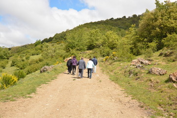 familia caminando por un camino en el monte