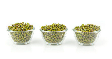 raw mung  bean