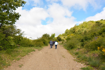 grupo de personas caminando por un camino en el monte