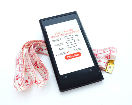 Basal Metabolic Rate Calculator BMR