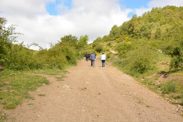 Fototapeta premium grupo de personas subiendo por un camino en el monte