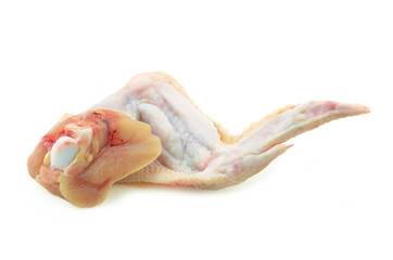 chicken wings on a white background