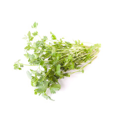 Parsley isolated on a white background