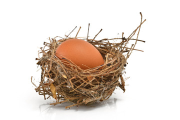 Egg in a nest