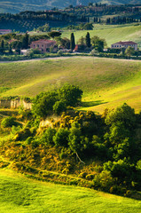 Tuscany - Italy - 65811901