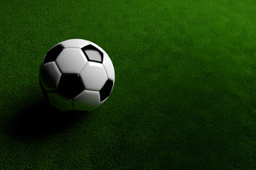 Fototapeta premium Fussball im Gras