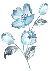 watercolor illustration flowers in simple background - 65812520