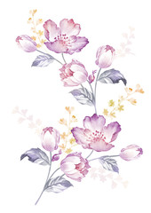 watercolor illustration flowers in simple background - 65812529
