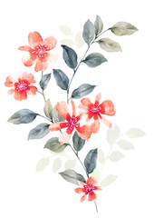watercolor illustration flowers in simple background - 65812542