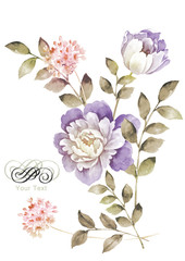 watercolor illustration flowers in simple background - 65812558