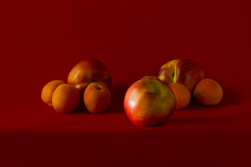 Nectarines and apricots