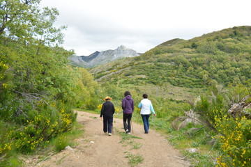 Obraz premium grupo de mujeres caminando por un camino de montaña
