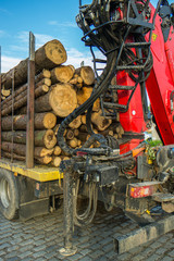 Holztransporter mit Kran