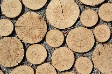 Wegebelag aus Holzpflaster