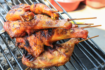 grilled chicken