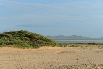 Guajira Peninsula. Colombia