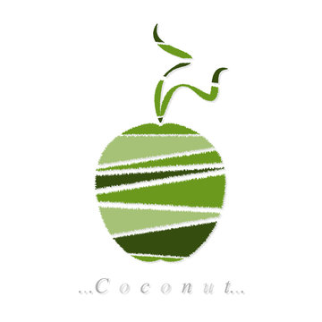 Vector of fruit, coconut icon on isolated white background