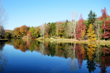 Autumn Colors